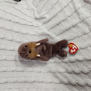 🕸Vintage Ty Beanie Baby Original Jolly the Walrus P.E. Pellets 1996
